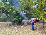 Barefoot Mosquito & Pest Control photo 5