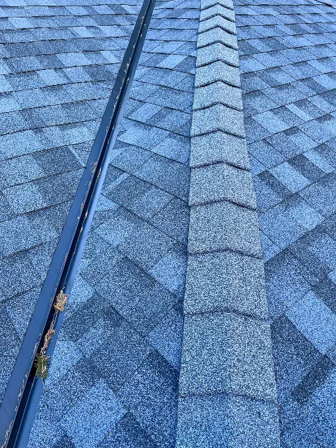 Proline Roofing Ltd. photo 1