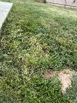 Mueller Landscape Inc photo 3