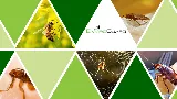 EnviroGuard Pest Control photo 4