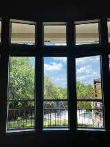 Shane's Panes photo 5