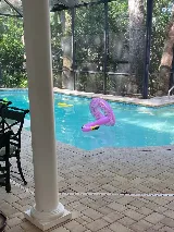 Citywide Pool Service, Inc. photo 4