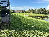 Firsthand Lawn and Landscape, LLC photo 7