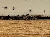 Atlantic Pest Control Inc photo 5