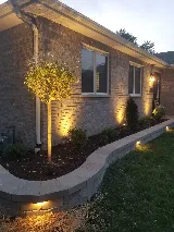 Lupita Landscaping photo 7