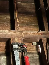 Precision Pest Management photo 4