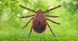 NJ Pest Control photo 2