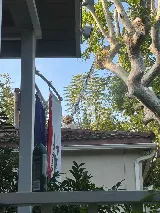La Canada Pest, Inc. photo 5