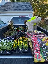 Eastern Grounds Landscaping LLC photo 7