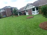 Tidewater Landscape Management Inc photo 3