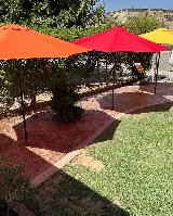 New vision landscape company photo 8
