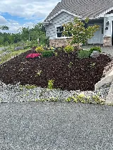 Green Scholars Landscaping & Lawn Care photo 4