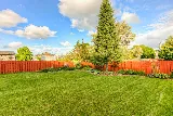 Wilson Landscaping photo 4