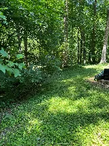 Lawn & Order Landscaping photo 6