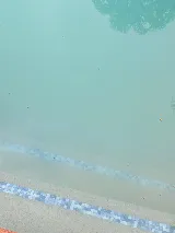 Clarity Pool Service photo 3