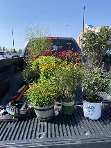 T&T Lawn and Landscaping photo 4