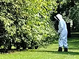 Greenix Pest Control photo 8