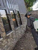 Optimum Pest Pros