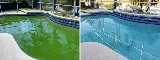 Zuanny Five Stars Pool Services LLC photo 6
