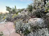 Landtamers Landscaping