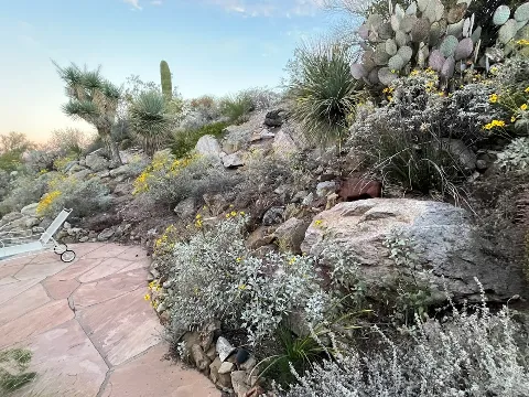 Landtamers Landscaping photo 1