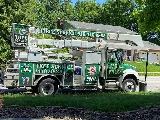 Lawn Mex Inc and Tree Service photo 6