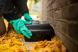 Greenix Pest Control photo 4