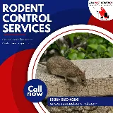 ASA Pest Control Inc photo 7