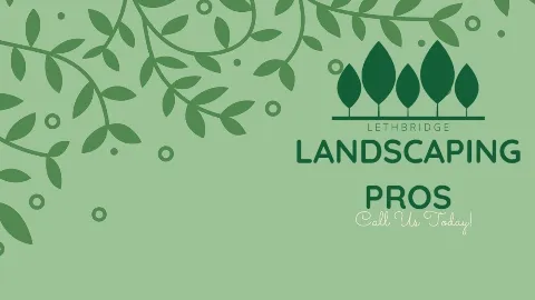 Lethbridge Landscaping Apexpros in Lethbridge