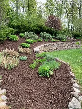 Black Belt Landscaping photo 3
