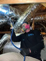 Wise Pest Control photo 3