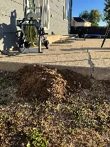 Jordan Pest Control LLC photo 7