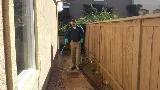 Gaines Pest Control photo 3