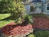 Lucia Landscaping photo 6
