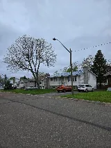 Yardman Landscaping and Tree Removal photo 3
