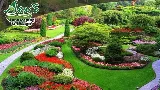 Alex's Landscaping & Design