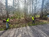 19.3 Landscaping photo 4