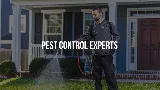 Accel Pest & Termite Control
