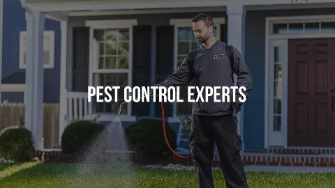 Accel Pest & Termite Control in Canton