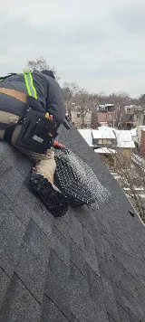 Pestend Pest Control Vaughan photo 7