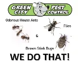 Green City Pest Control Seattle photo 3