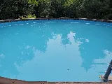 The Pool Guy/The Pool Store