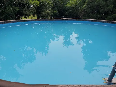 The Pool Guy/The Pool Store photo 1