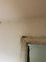 Eco Bed Bug Exterminators Baltimore photo 7