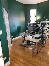 123 Painting Solutions inc