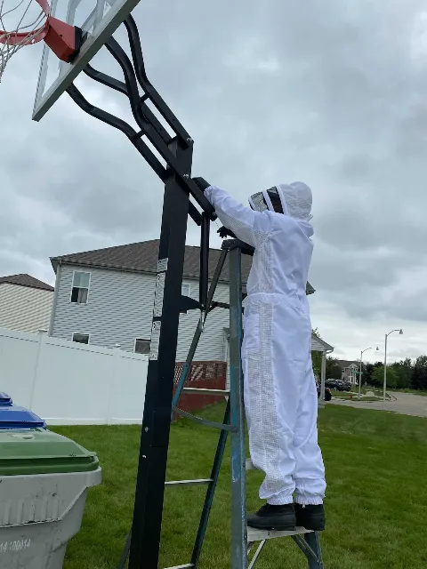 The Bug Man and Queen Bee photo 1