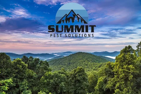 Summit Pest Solutions in Asheville