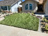 Llano Grande Landscaping photo 4