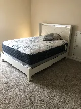 Chap's Professional Movers photo 6
