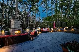 Elite Coastal Landscaping LLC photo 7